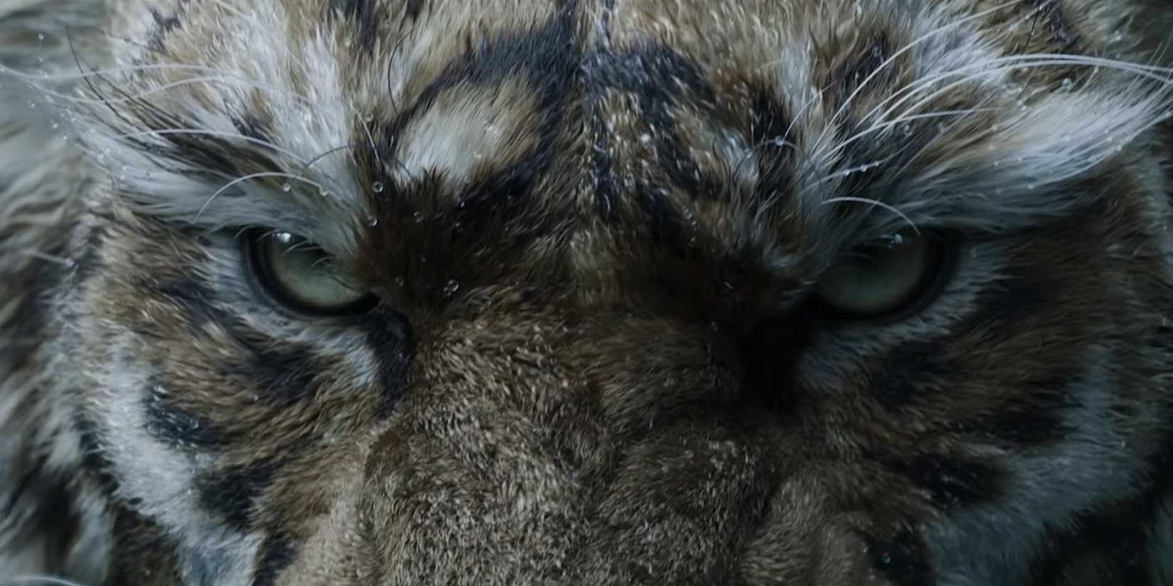 black-myth-sequel-zhong-kui-announced-game-rant-tiger-face-1