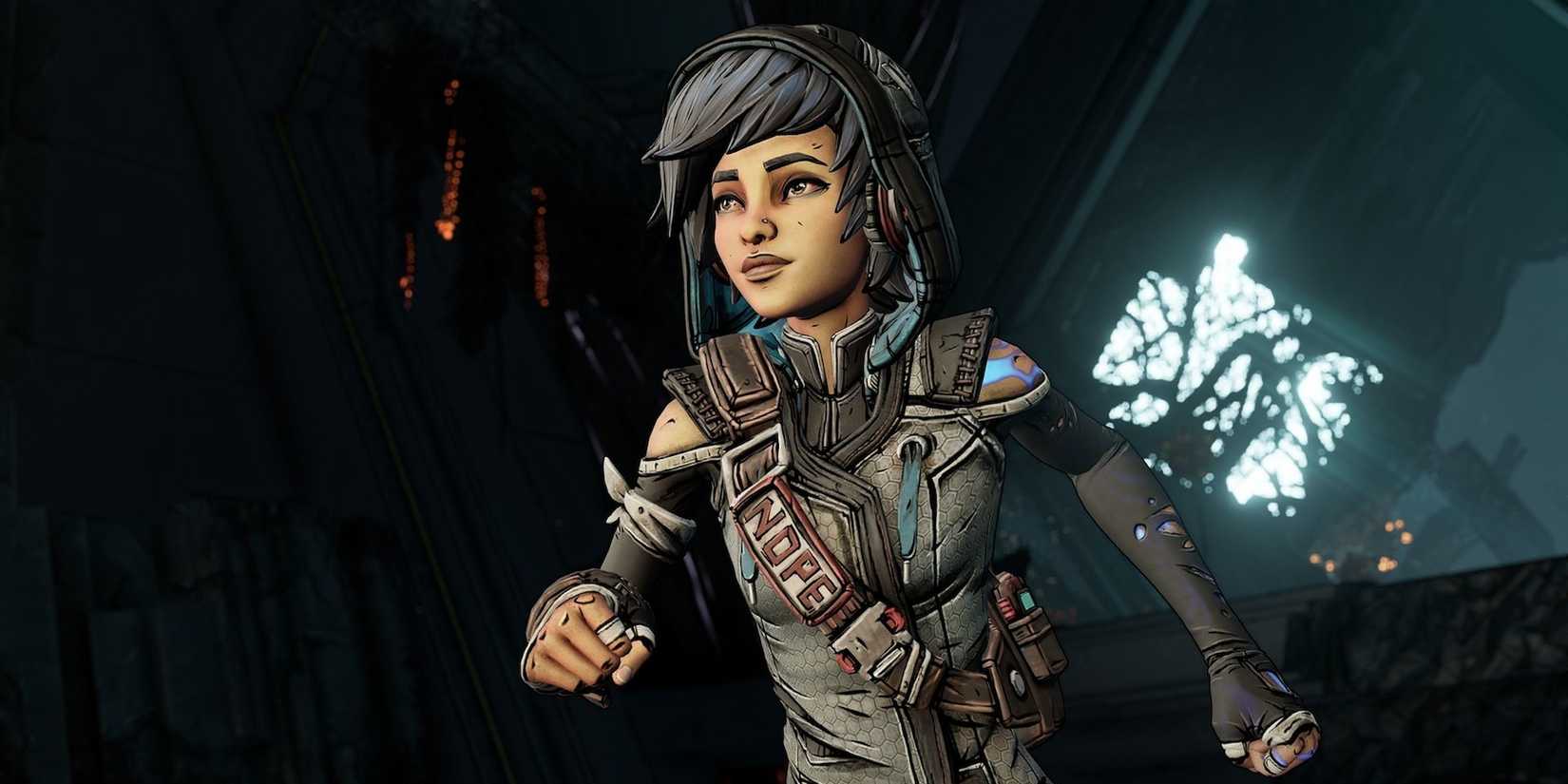 borderlands-ava-fighting