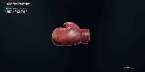 Boxing Gloves in Black Ops 6-1