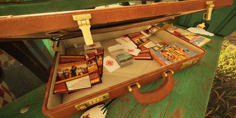 briefcase with spicy candies in grounded 2