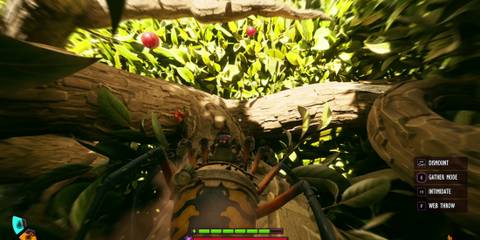bushwacker hidden tree location in grounded 2