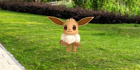 Catching an Eevee outside -Pokemon GO