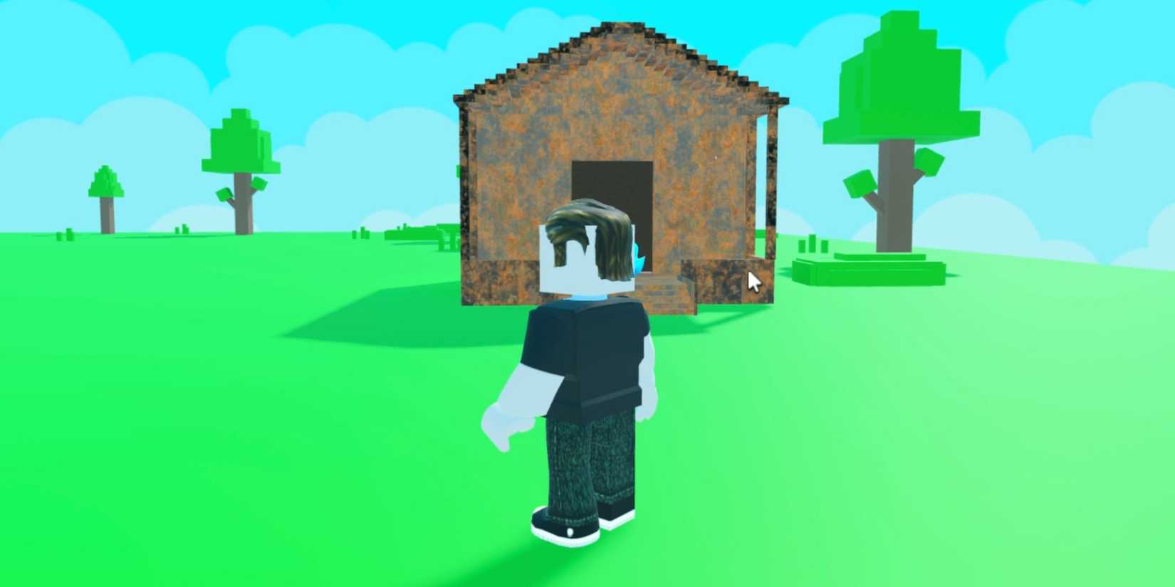 Clean a House player