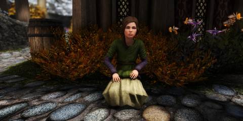 Common Clothing Retexture SE mod for Skyrim (3)