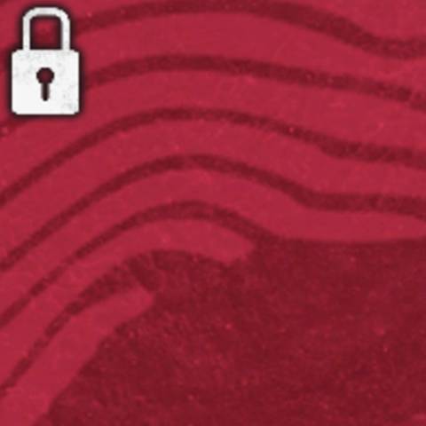 Crimson Camo in Black Ops 6