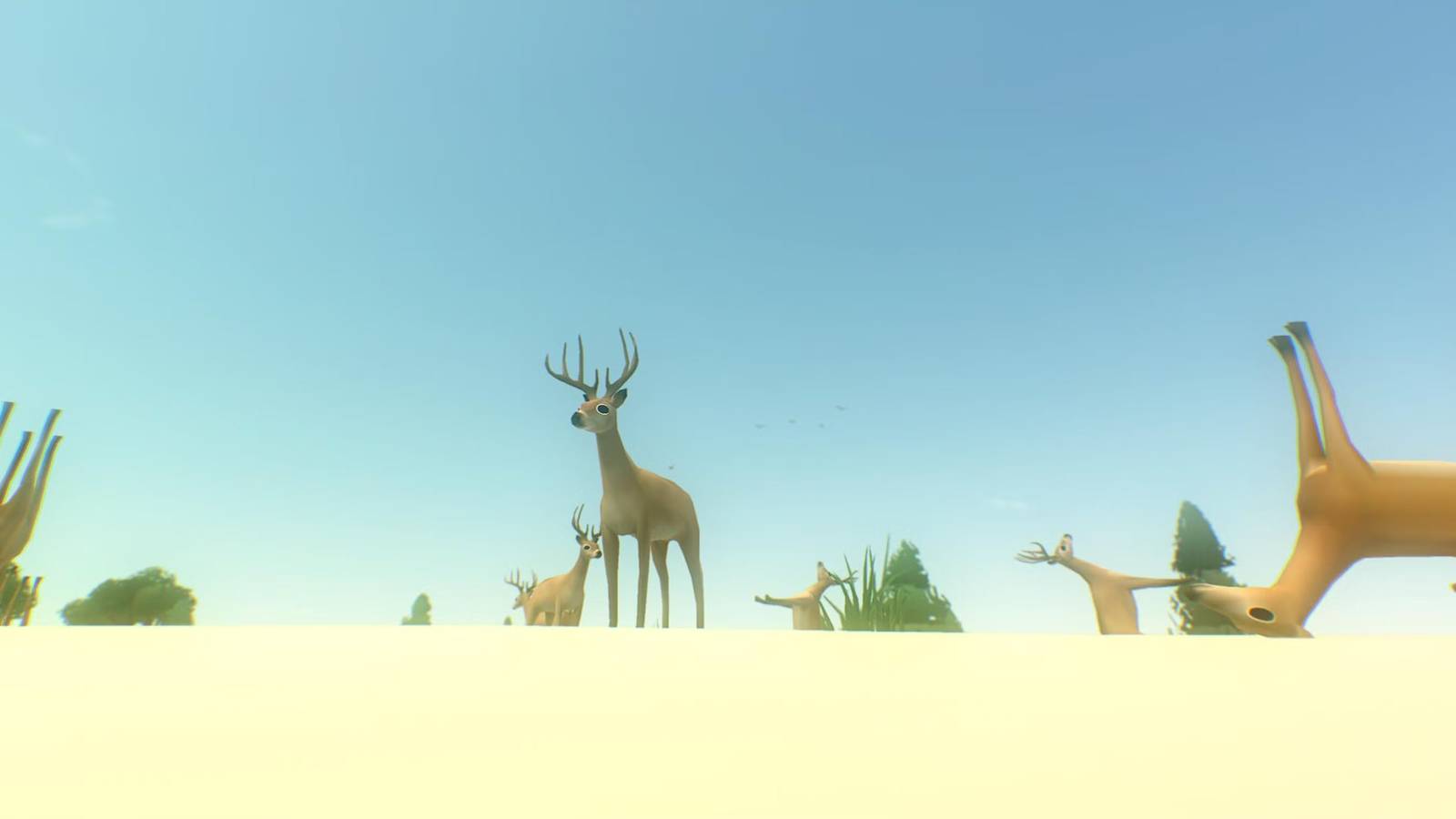 David OReilly (Everything)