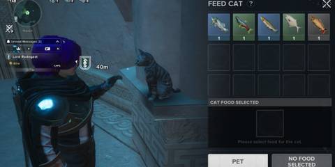 Destiny Rising Feeding Cats with Fish