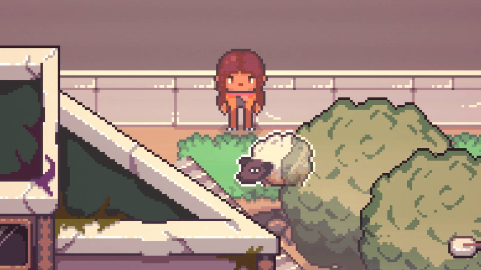 discounty sheep locations