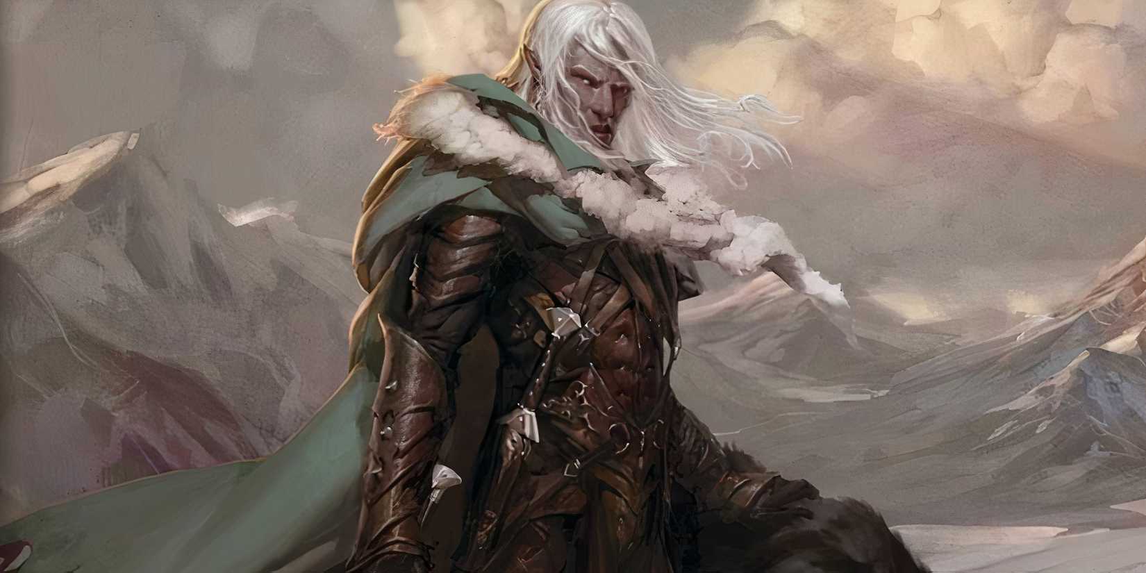 DRIZZT DO'UDEN D&D WOTC official art