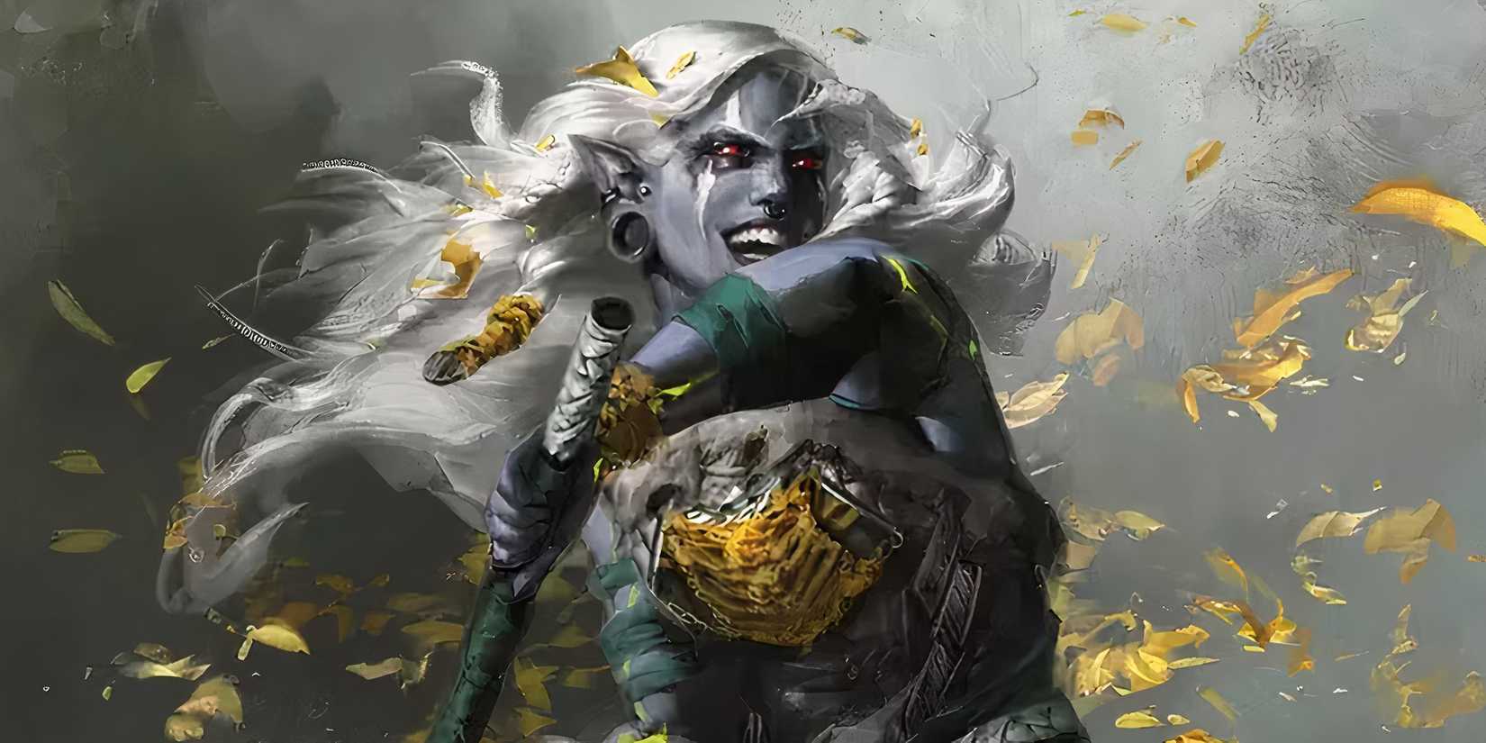 Dungeons & Dragons 2024 Player Handbook drow