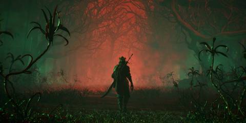 Exploring a forest in La Divina Commedia