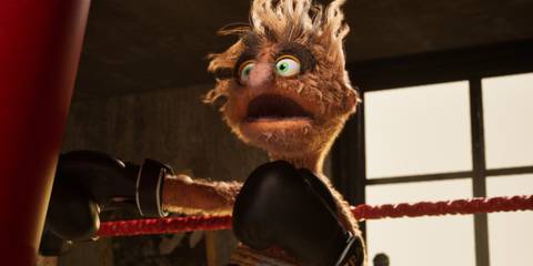 Ezra in Felt That Boxing