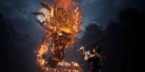 Facing a dragon in Swords Of Legends