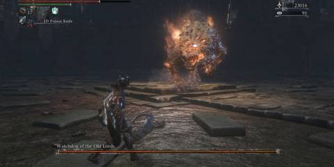 Facing the Watchdog in Bloodborne