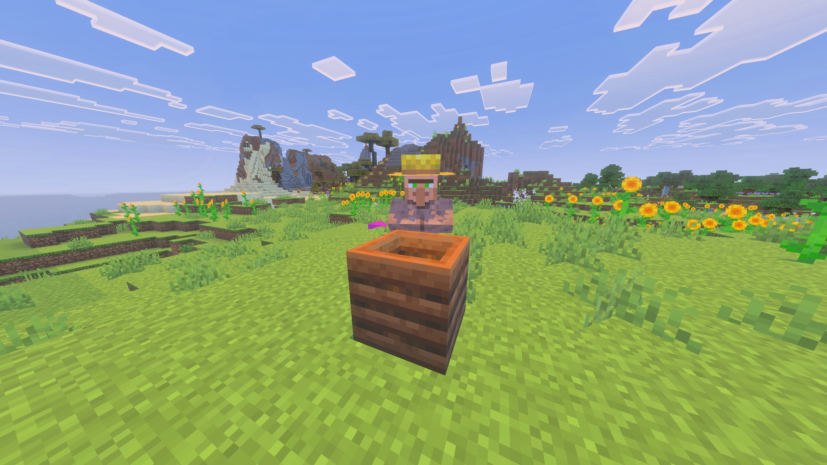 Farmer villager