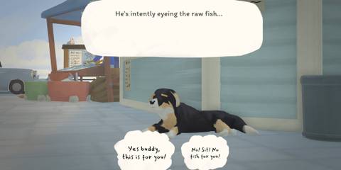 Feeding Raw Fish to Dog Tiny Bookshop