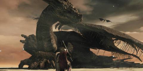 Fighting a boss in Dark Souls 2