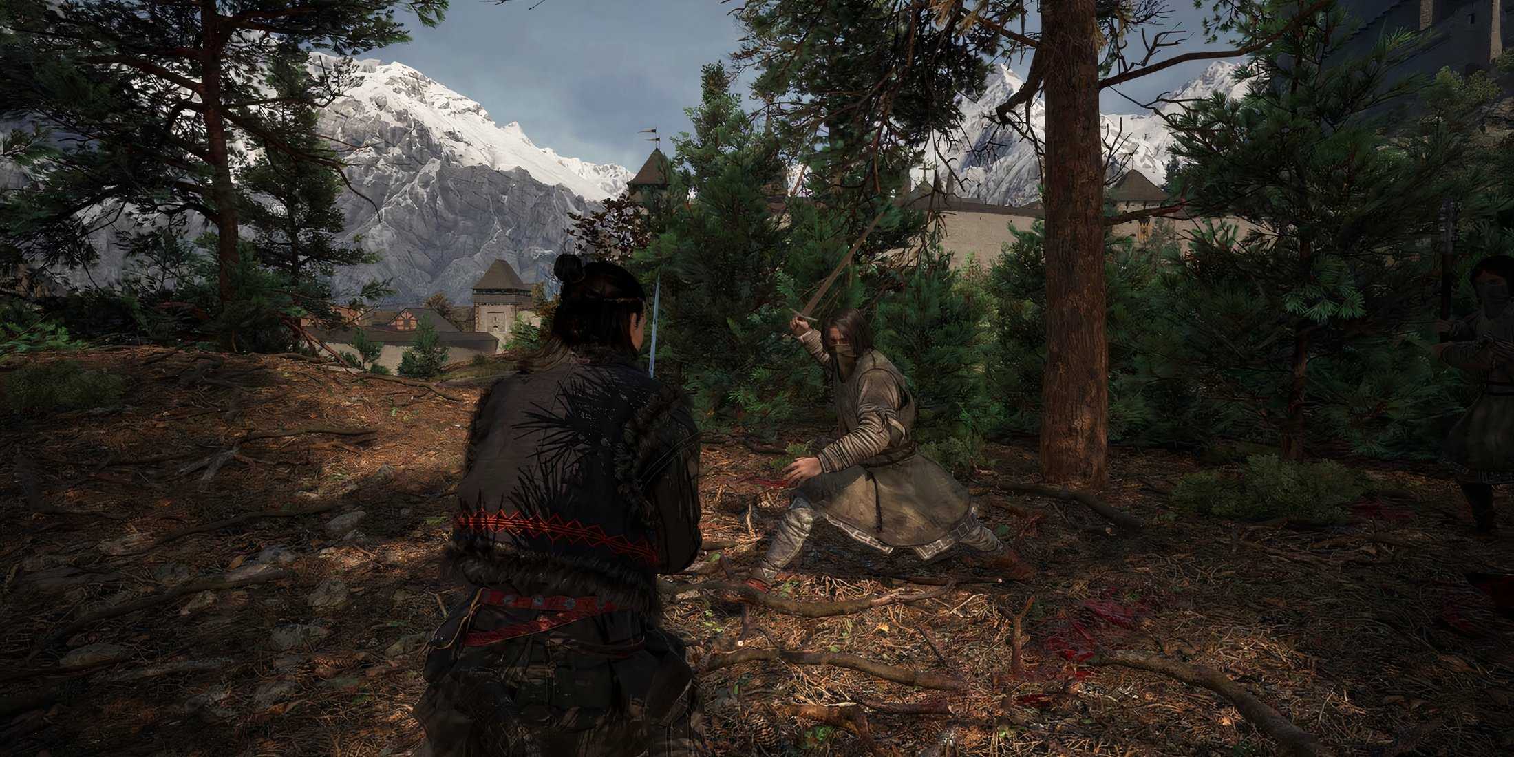 Fighting an enemy in The Blood Of Dawnwalker