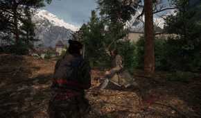Fighting an enemy in The Blood Of Dawnwalker