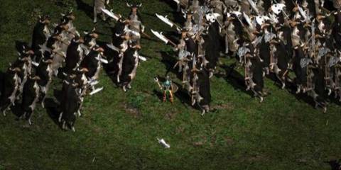 Fighting cows in Diablo 2 (2000)