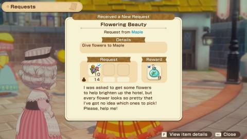 Flowering Beauty Quest Story of Seasons Grand Bazaar