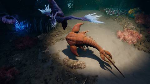 Glaciered Press Image 2