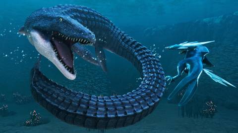 Glaciered Press Image 5