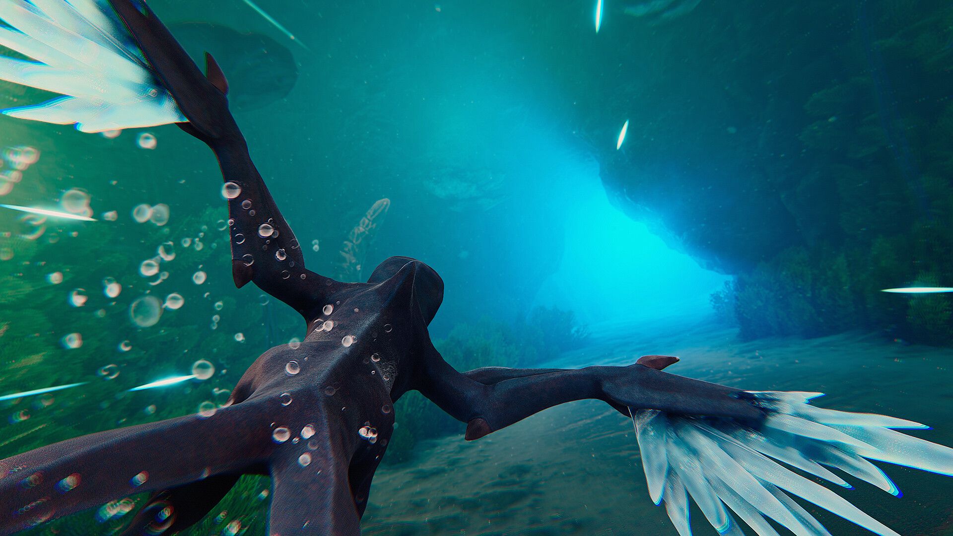 Glaciered Press Image 6