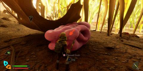 Chewed Gum in Grounded 2