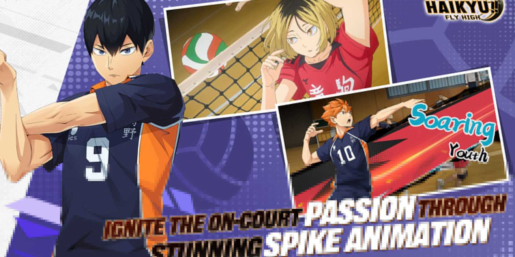 Haikyu Fly High characters