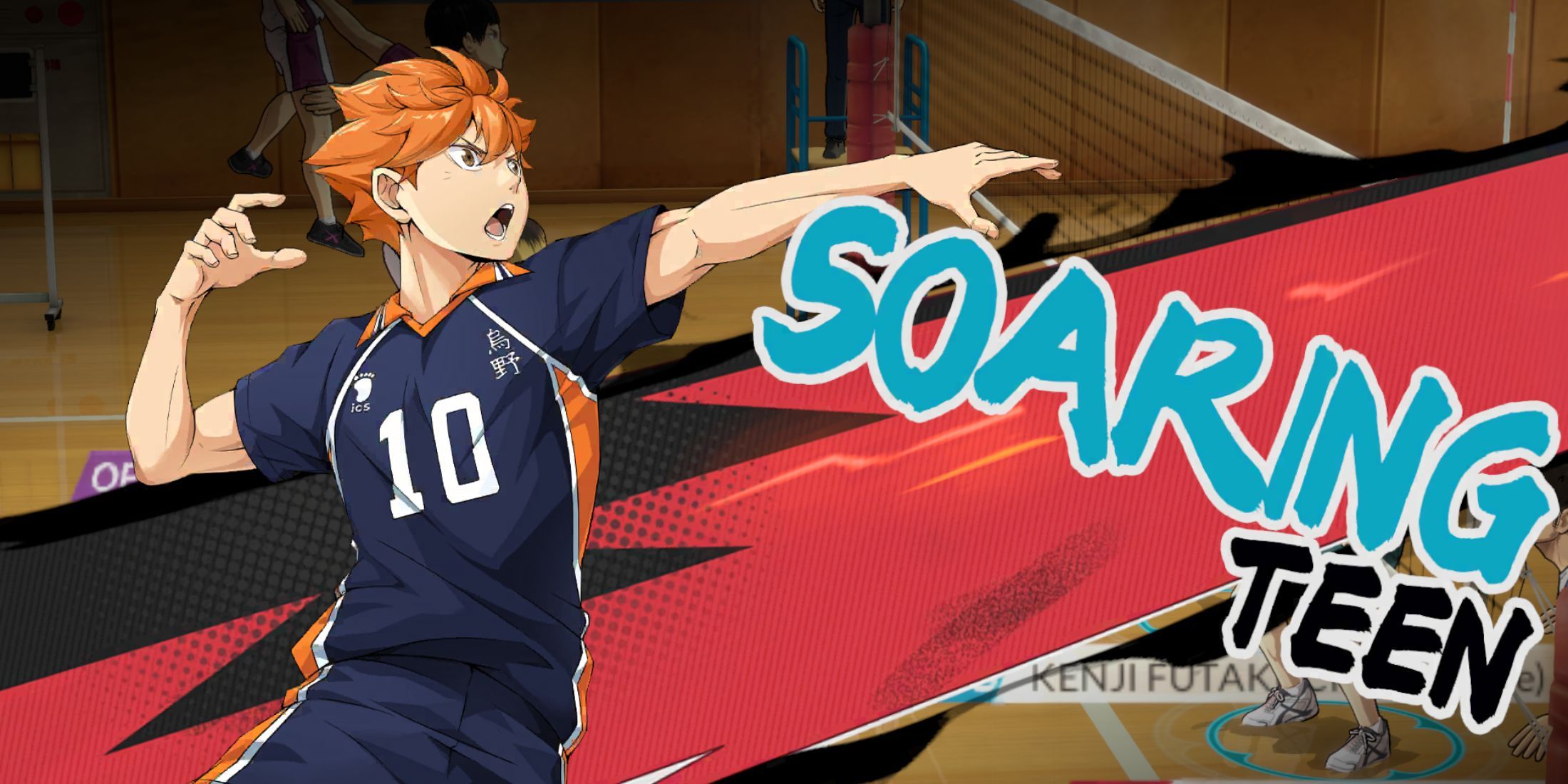 Haikyu Fly High character