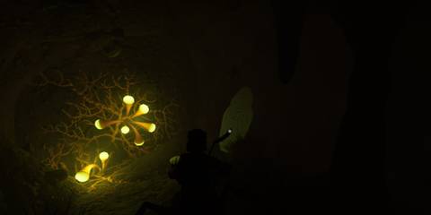 hatchery anthill fresh mint shards in Grounded 2