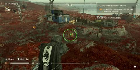 The Player Aiming the Warrant 