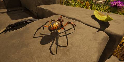 how to get an orb weaver buggy in grounded 2