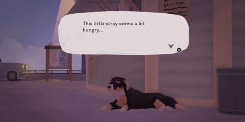 Hungry Stray Dog Tiny Bookshop