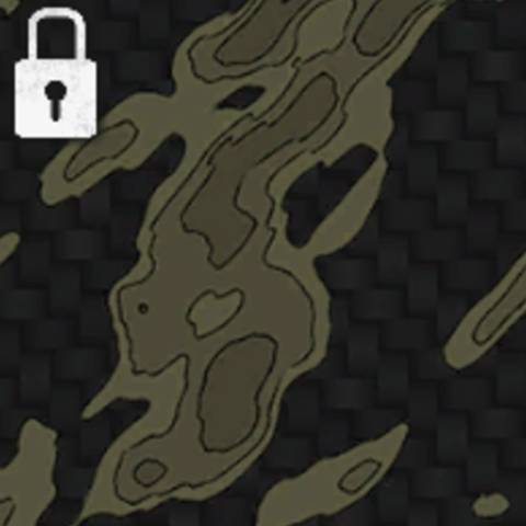 Infiltrator Camo in Black Ops 6