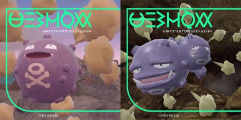 Koffing and Weezing's Pokedex entries - Pokemon Scarlet and Violet