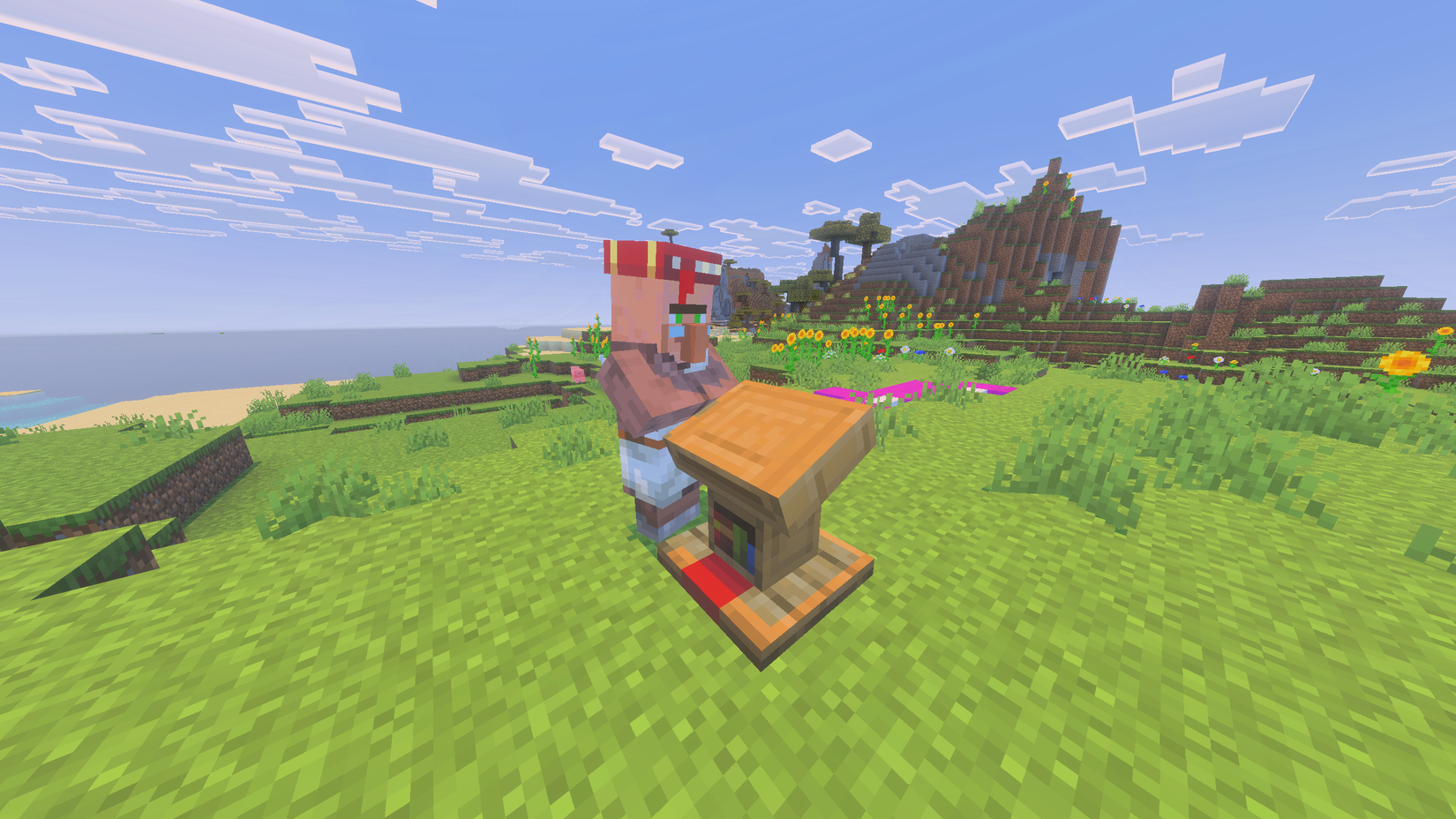 Librarian villager