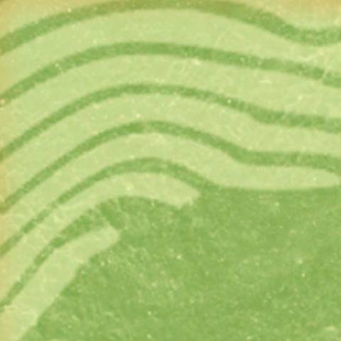 Lime Camo in Black Ops 6