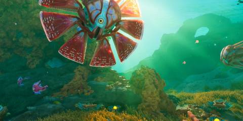 Looking at fish in Subnautica 2