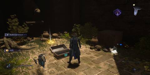 The Player Getting a Potion from a Chest 