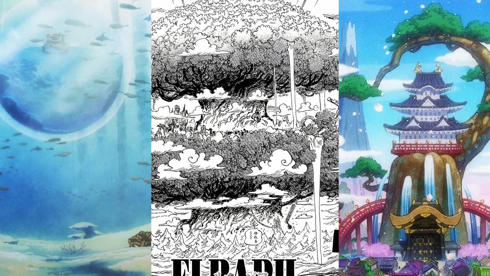 luffy-important-allies-countries