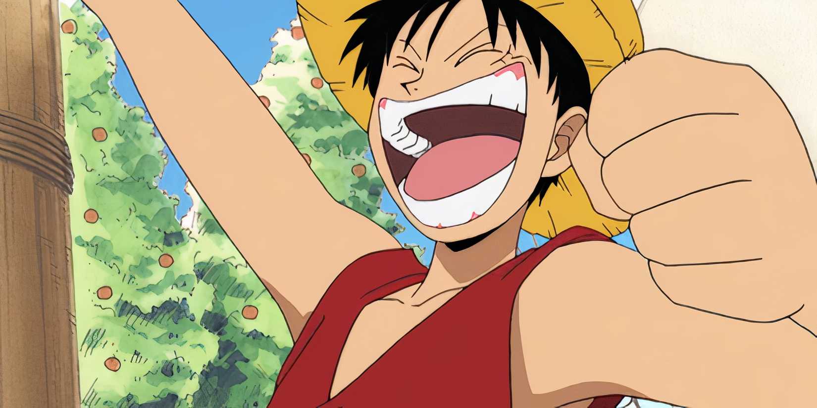 Luffy in One Piece