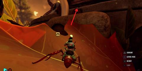 maple leaf shortcut to network center in grounded 2