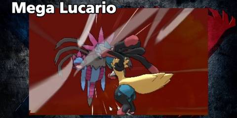 Mega Lucario uses Close Combat - Pokemon X And Y