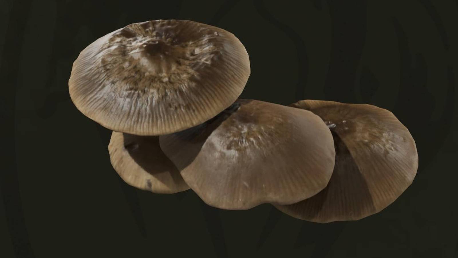 Metal Gear Solid Delta Mushroom Header