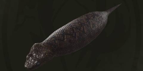 Metal Gear Solid Delta Tsuchinoko Header