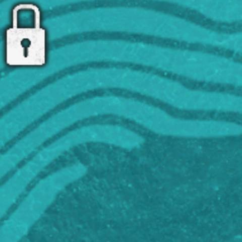 Mist Camo in Black Ops 6