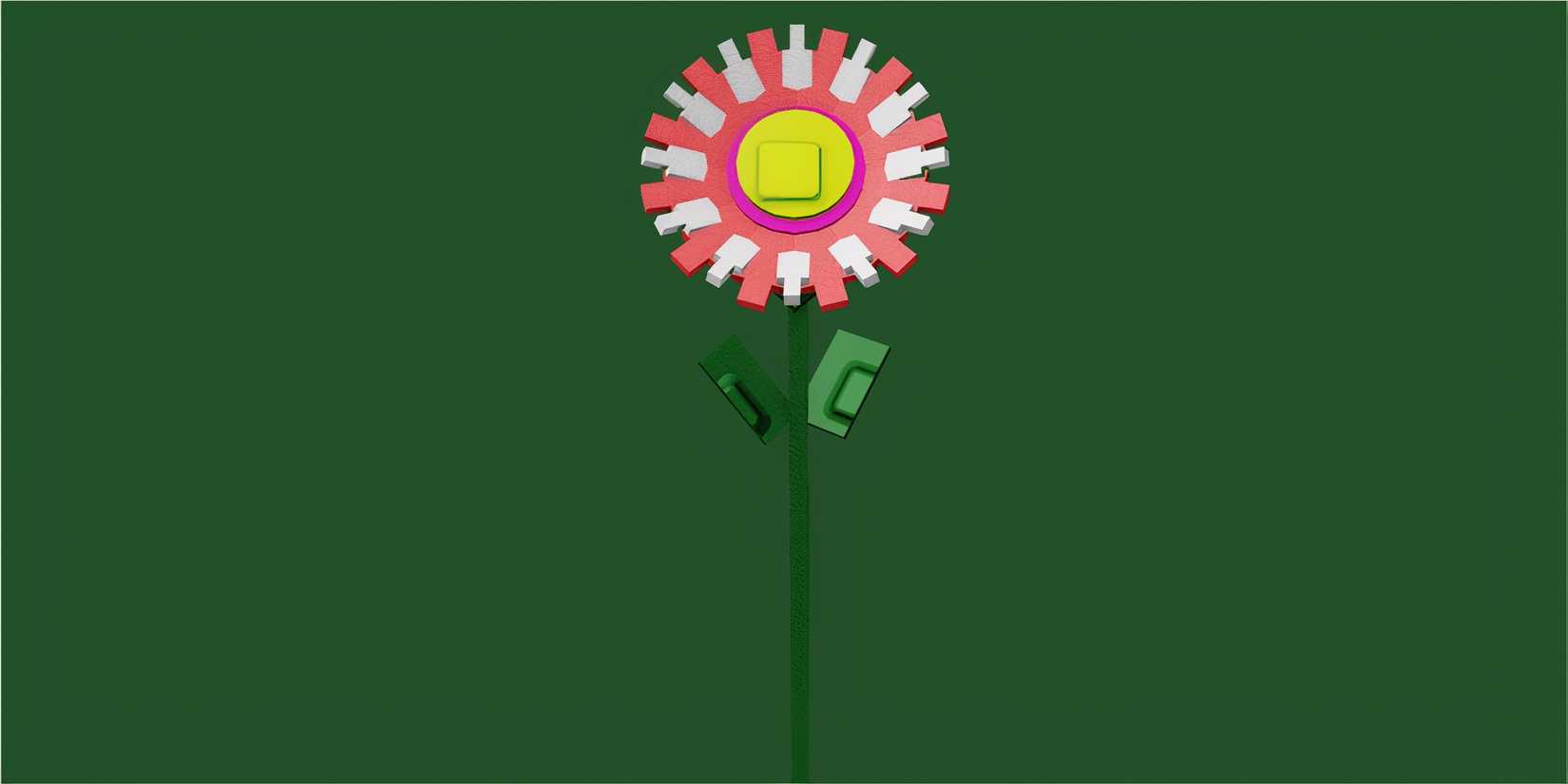 Candy Sunflower seed grow a garden