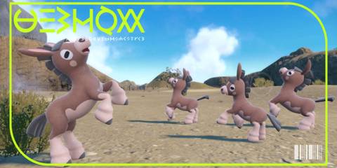 Mudbray's pokedex entry - Pokemon Scarlet and Violet